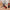 8 In 1 Screwdrivers - Golonzo -                                                                             