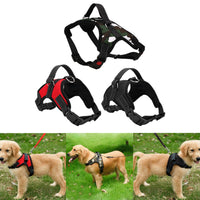 Adjustable Big Dog Harness Collar - Golonzo -                                                                             
