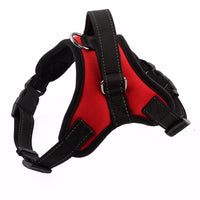 Adjustable Big Dog Harness Collar - Golonzo -                                                                             
