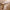 Aluminum Antique Brass Bath Towel Rack - Golonzo -                                                                             