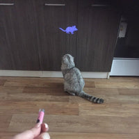 Amazingly Cat Toy Creative and Funny Pet Cat Toys LED Pointer light Pen With Bright Animation Mouse - Golonzo -                                                                             