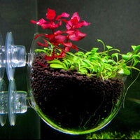 Aquarium Decoration - Mini Crystal Glass Pot Cylinder Cup - Golonzo -                                                                             