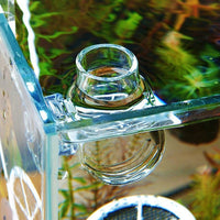 Aquarium Fish Tank Feeding Bowl with Suction Cup - Golonzo -                                                                             