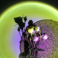 Atmosphere Night Light Rainbow Sunset Projector Lamp - Golonzo -                                                                             