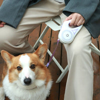 Automatic Extending Led Lights Dog Leash - Golonzo -                                                                             