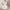Baby Correction Anti-eccentric Head Pillow for Newborn - Golonzo -                                                                             