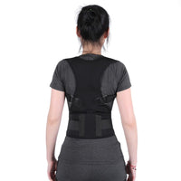 Back Belt Support Brace - Golonzo -                                                                             