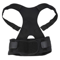 Back Belt Support Brace - Golonzo -                                                                             