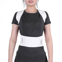 Back Belt Support Brace - Golonzo -                                                                             