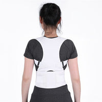 Back Belt Support Brace - Golonzo -                                                                             