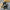 Bag Vest Crossbody Chest Bags Packs - Golonzo -                                                                             