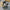 Bag Vest Crossbody Chest Bags Packs - Golonzo -                                                                             