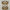Bathroom Shelves 2 Layer Antique Metal Shower Corner - Golonzo -                                                                             