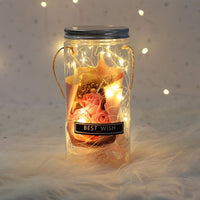 Beauty And The Beast Rose Flower In A Plastic Bottle - Golonzo -                                                                             