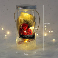 Beauty And The Beast Rose Flower In A Plastic Bottle - Golonzo -                                                                             