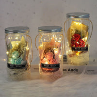Beauty And The Beast Rose Flower In A Plastic Bottle - Golonzo -                                                                             
