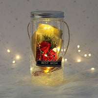 Beauty And The Beast Rose Flower In A Plastic Bottle - Golonzo -                                                                             