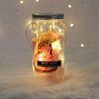 Beauty And The Beast Rose Flower In A Plastic Bottle - Golonzo -                                                                             