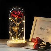 Beauty And The Beast Rose In A Glass Dome On A Wooden Base - Golonzo -                                                                             
