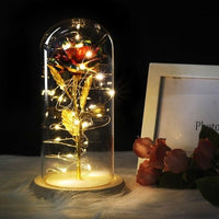 Beauty And The Beast Rose In A Glass Dome On A Wooden Base - Golonzo -                                                                             