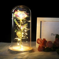 Beauty And The Beast Rose In A Glass Dome On A Wooden Base - Golonzo -                                                                             
