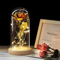 Beauty And The Beast Rose In A Glass Dome On A Wooden Base - Golonzo -                                                                             
