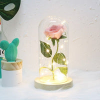 Beauty And The Beast Rose In A Glass Dome On A Wooden Base - Golonzo -                                                                             