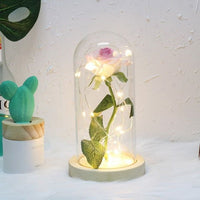 Beauty And The Beast Rose In A Glass Dome On A Wooden Base - Golonzo -                                                                             