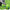 BestBall - Interactive Giggle Ball - Golonzo -                                                                             