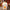 Big Bunny Rabbit Stuffed Animal Toy - Golonzo -                                                                             
