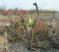 Bird Decor Micro Mini Animals Garden Miniature Figurines Frog on Leaf Animal - Golonzo -                                                                             
