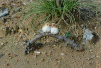 Bird Decor Micro Mini Animals Garden Miniature Figurines Frog on Leaf Animal - Golonzo -                                                                             