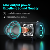 Bluetooth Speaker with Class D Amplifier Excellent Bass Performace - Golonzo -                                                                             