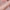 Body Glitter Powder - Fashion Highlighter Powder Spray - Golonzo -                                                                             