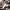 Brushless Saw 6 Inch Handheld Portable Mini Electric Chainsaw - Golonzo -                                                                             