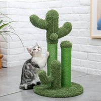 Cactus Cat Toys Scratcher - Golonzo -                                                                             