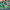 Car Track Rail Building Adventure - Golonzo -                                                                             
