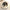 Cat Cozy Bed - Warm Pet Basket - Golonzo -                                                                             