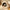 Cat Cozy Bed - Warm Pet Basket - Golonzo -                                                                             