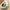 Cat Cozy Bed - Warm Pet Basket - Golonzo -                                                                             