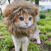 Cat Wig - Cute Lion Mane - Golonzo -                                                                             