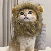 Cat Wig - Cute Lion Mane - Golonzo -                                                                             