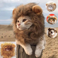 Cat Wig - Cute Lion Mane - Golonzo -                                                                             