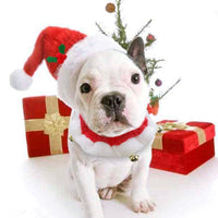 Christmas Hat Scarf Set Accessories for Pet - Golonzo -                                                                             