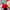 Christmas Lady Santa Claus Costume - Off Shoulder Lingeries Backless Dresses - Golonzo -                                                                             