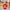 Christmas Lantern Light - Golonzo -                                                                             