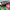 Christmas Nozzles Set - Golonzo -                                                                             