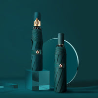 Colorful Automatic Umbrella - Golonzo -                                                                             