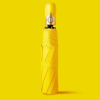 Colorful Automatic Umbrella - Golonzo -                                                                             