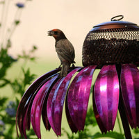 Coneflower Bird Feeder - Golonzo -                                                                             